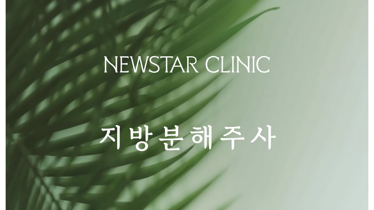 지방분해주사